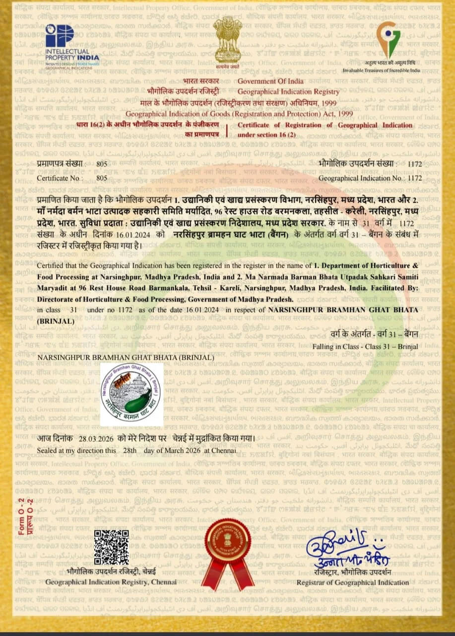 एक साथ 12 उद्यानिकी उत्पादों को जीआई टैग, करेली का गुड़ और बरमान घाट का बैंगन बने मध्यप्रदेश की नई पहचान
