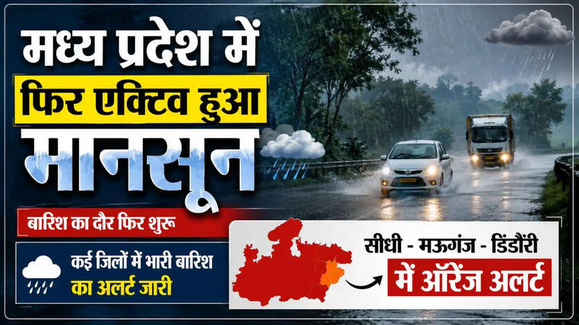 MP Weather News