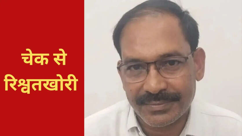 Mp News Today