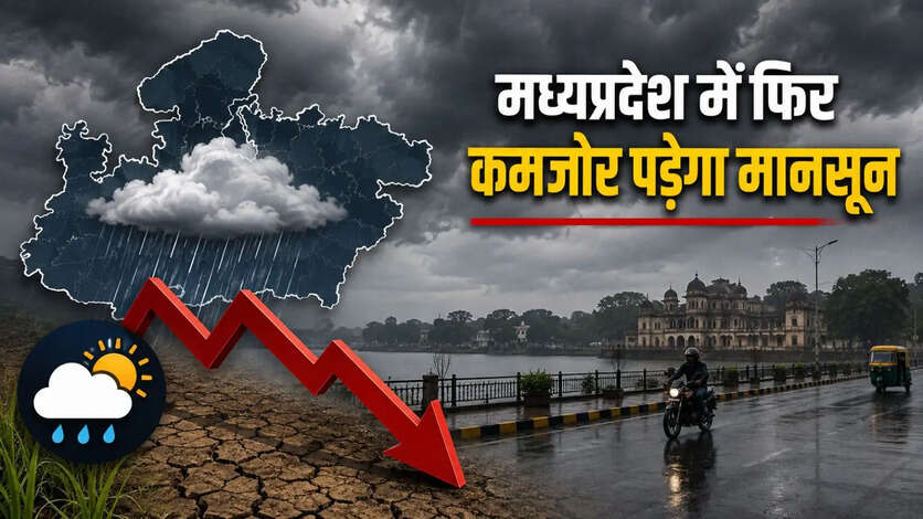MP Weather August 2026 