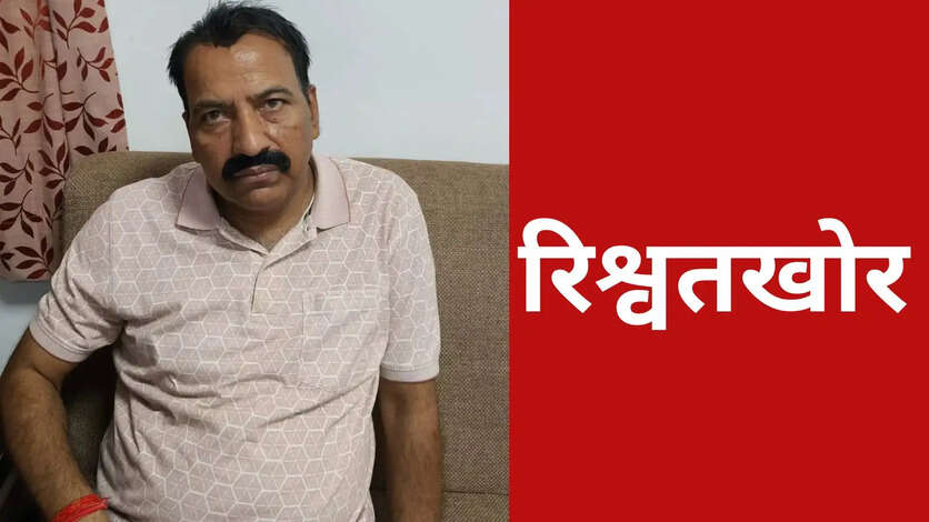 Lokayukta