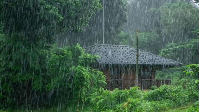 Weather News Today
