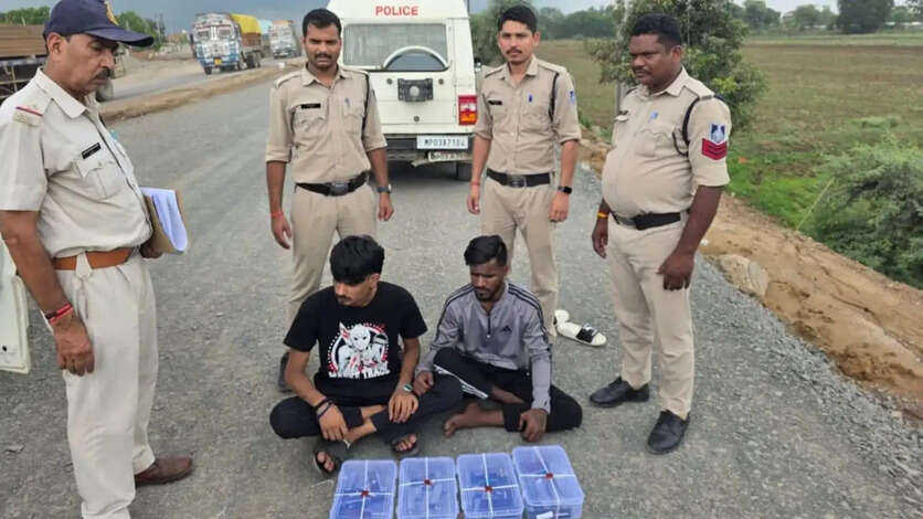 Crime News MP