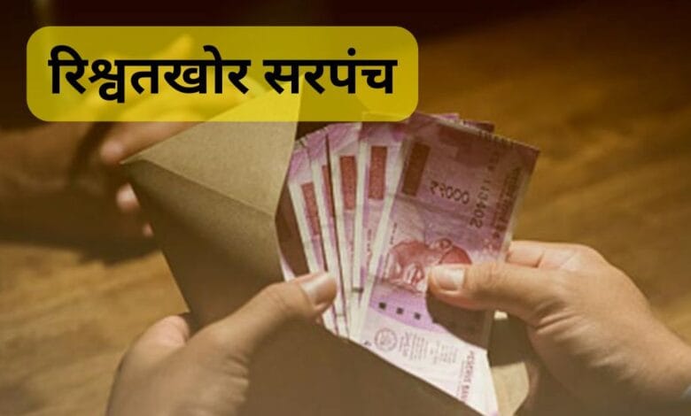 MP Bribe News
