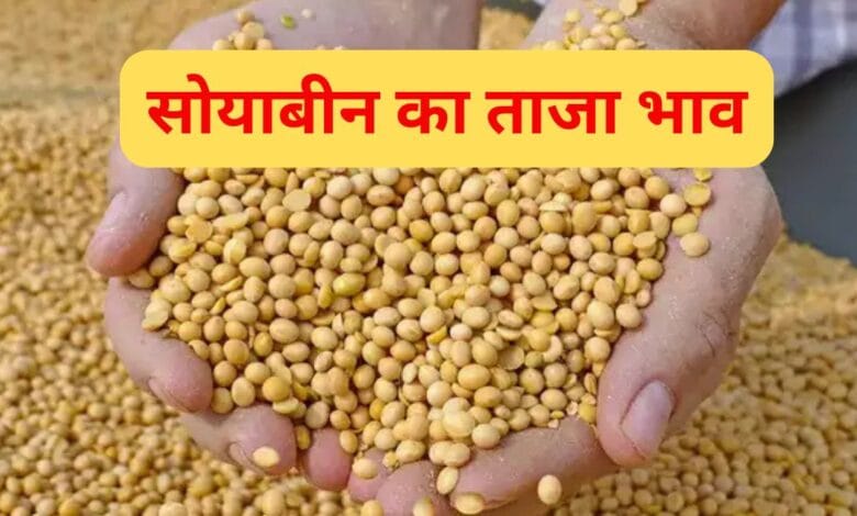 Soyabeen Price 2025