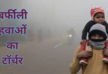 MP Weather News