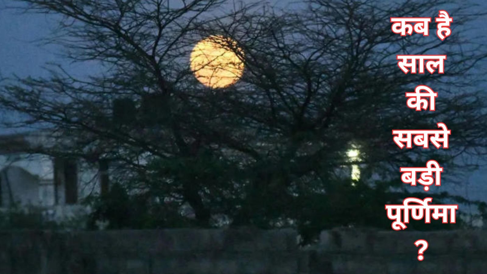 Magh Purnima 2026 Date