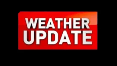 Bhopal weather update