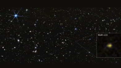 James Webb Space Telescope