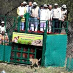 Kuno National Park : कूनो नेशनल पार्क में 9 नए चीतों की एंट्री के साथ भारत में इनकी संख्या 48 पहुंची। जानिए ‘प्रोजेक्ट चीता’ का ताजा अपडेट