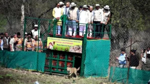 Kuno National Park : कूनो नेशनल पार्क में 9 नए चीतों की एंट्री के साथ भारत में इनकी संख्या 48 पहुंची। जानिए ‘प्रोजेक्ट चीता’ का ताजा अपडेट