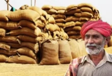 MP Agriculture News Today