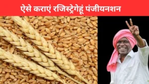 MP Wheat MSP Registration 2026 : मध्य प्रदेश में गेहूं पंजीयन शुरू, ऐसे कराएं रजिस्ट्रेशन