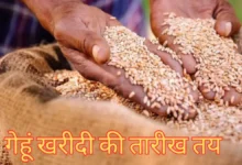 MP Wheat Procurement 2026