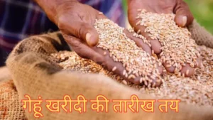 मध्य प्रदेश में गेहूं खरीदी की तारीख तय: 10 अप्रैल से शुरू होगा काम, किसानों को 7 अप्रैल से मिलेगी स्लॉट बुकिंग की सुविधा