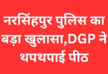 Narsinghpur Cyber Fraud