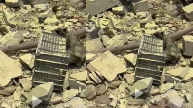 Dewas Factory Blast Updates