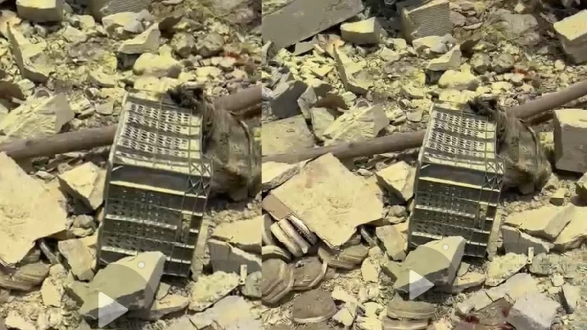 Dewas Factory Blast Updates