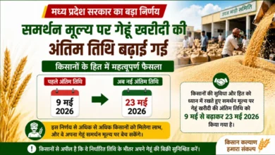 MP Wheat Procurement Last Date