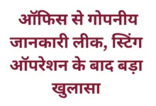 MP latest news