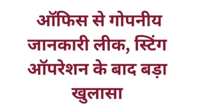 MP latest news