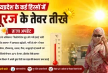 MP weather forecast next 3 days