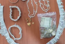 Major Crackdown in Narsinghpur: Gang Stealing to Fund an Extravagant Lifestyle Busted