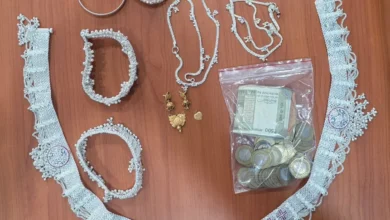 Major Crackdown in Narsinghpur: Gang Stealing to Fund an Extravagant Lifestyle Busted