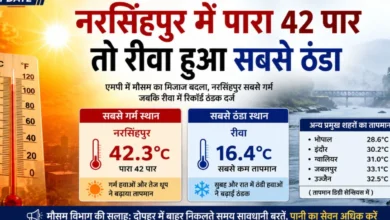 Narsinghpur Hottest District MP