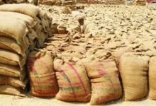 Wheat Procurement Record