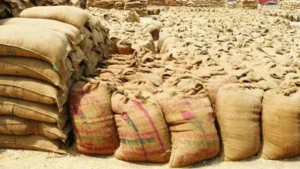 Wheat Procurement Record : पंजाब और हरियाणा को पछाड़कर मध्य प्रदेश बना नंबर वन, 10 लाख से अधिक किसानों से खरीदा गया 63 लाख मीट्रिक टन गेहूं